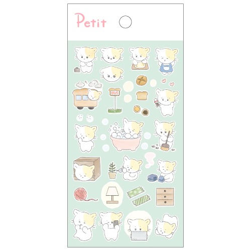 PD929 눈썹냥이의 일주일